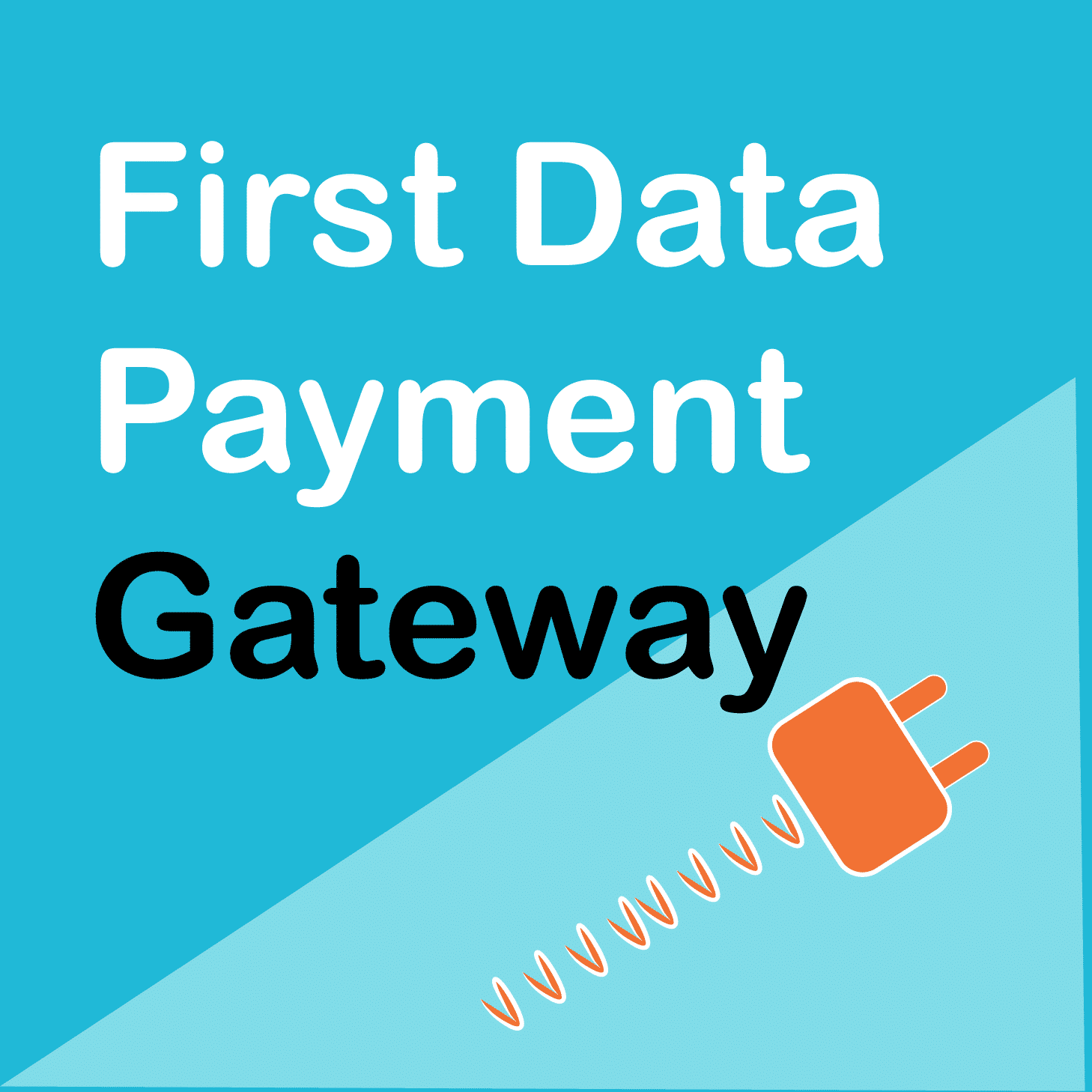WooCommerce First Data Payment Gateway 1