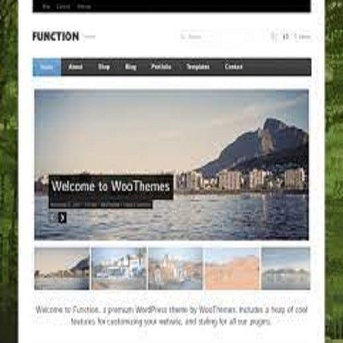 Function WooCommerce