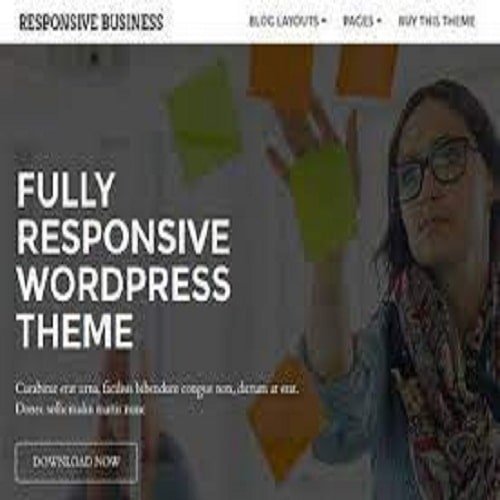 CyberChimps Responsive Business