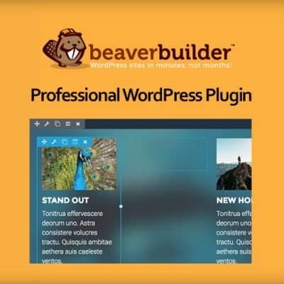 Beaver Themer