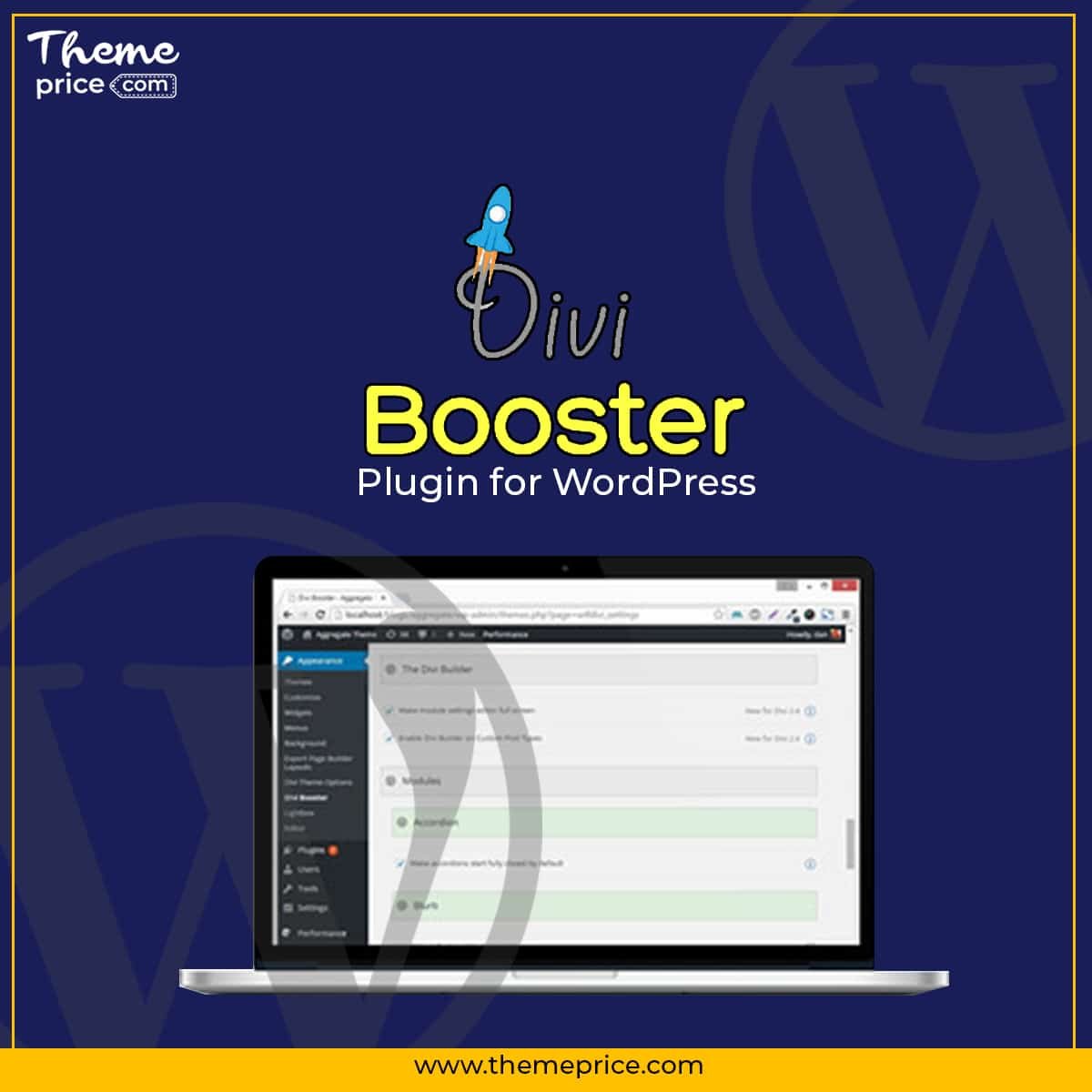 Divi Booster