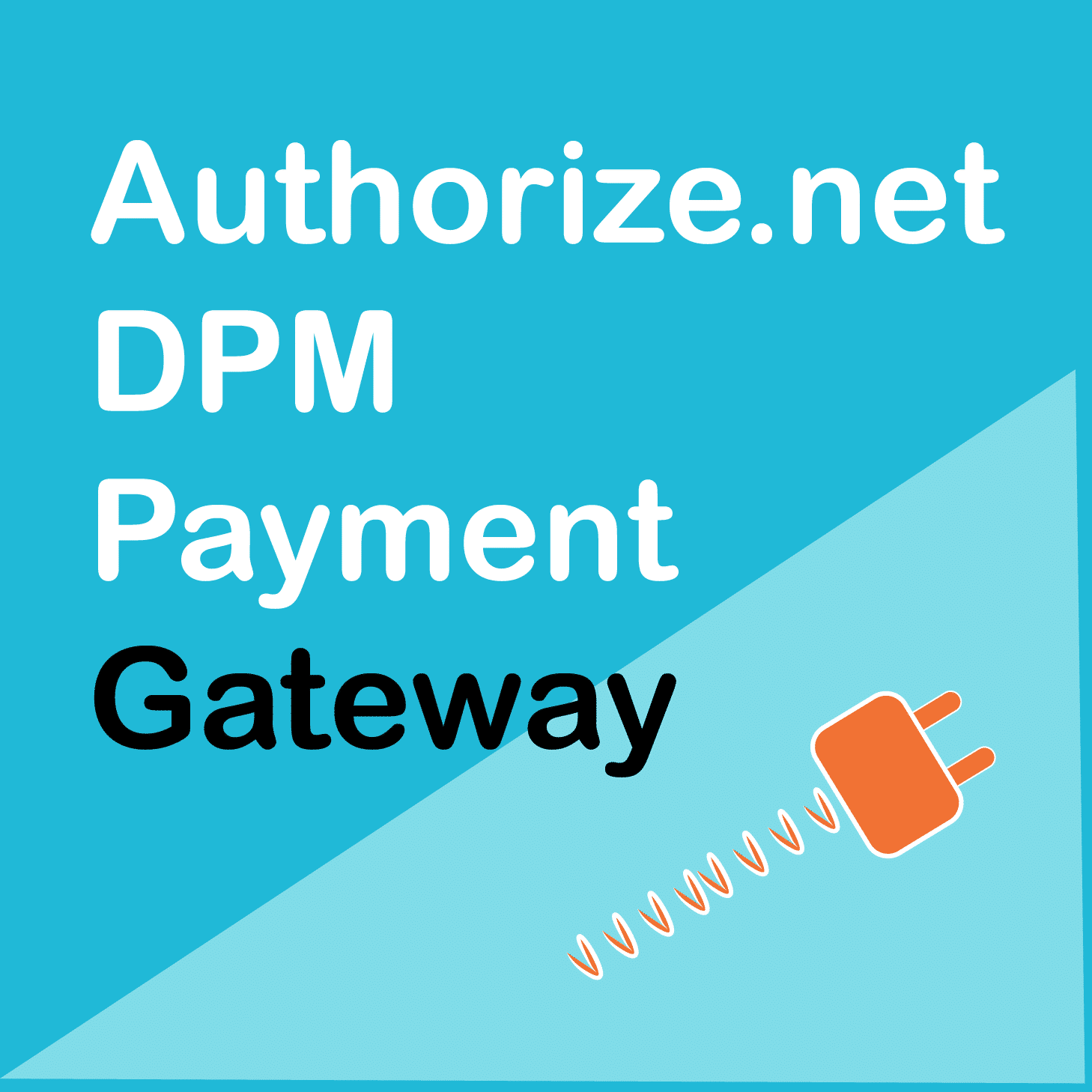 WooCommerce Authorize.net DPM Payment Gateway