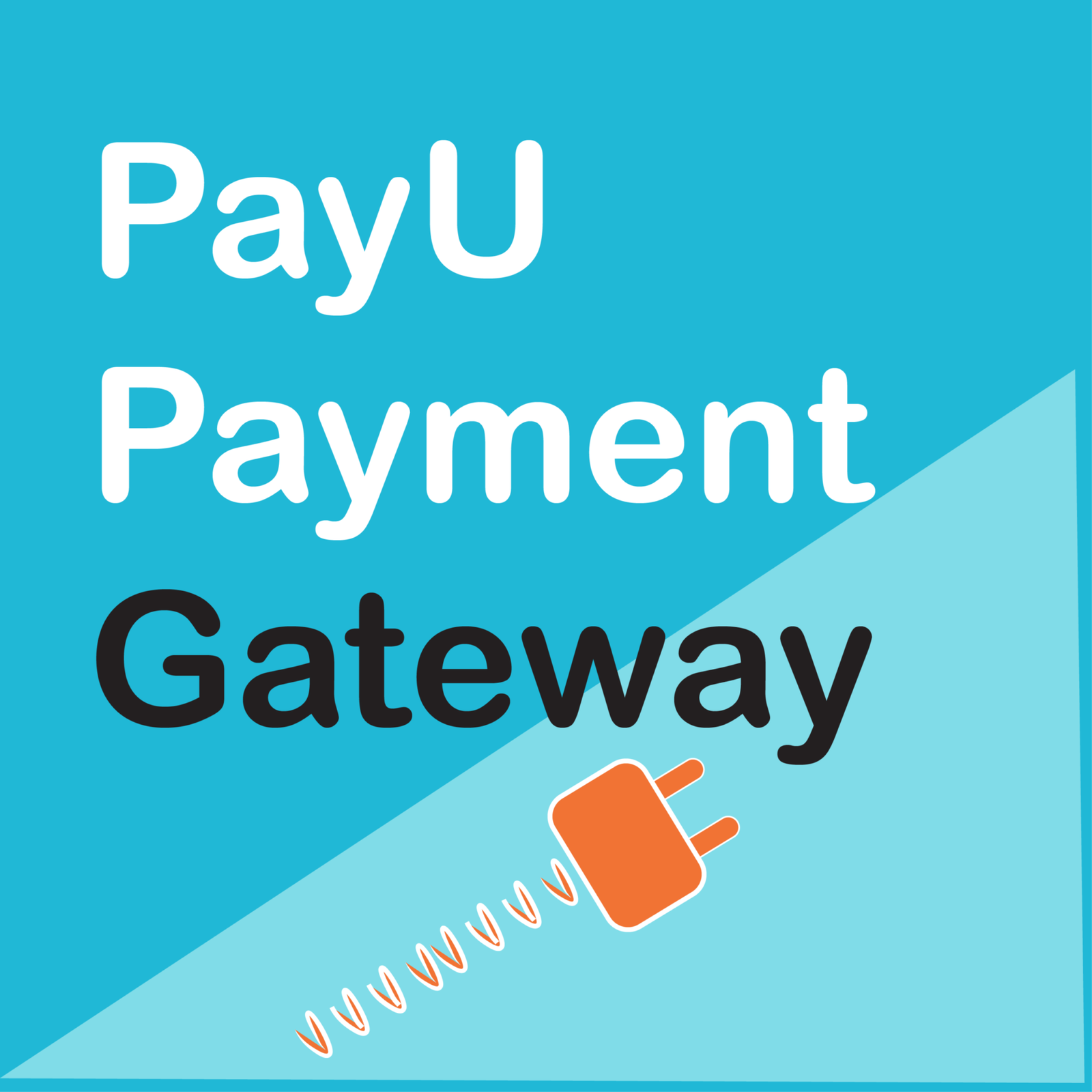 WooCommerce PayU Payment Gateway