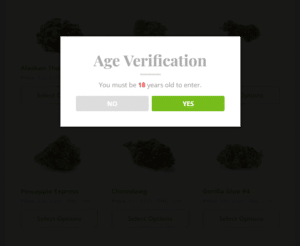 Age Verificator for WordPress