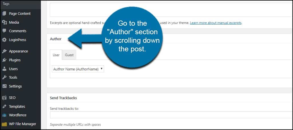 AuthorSection