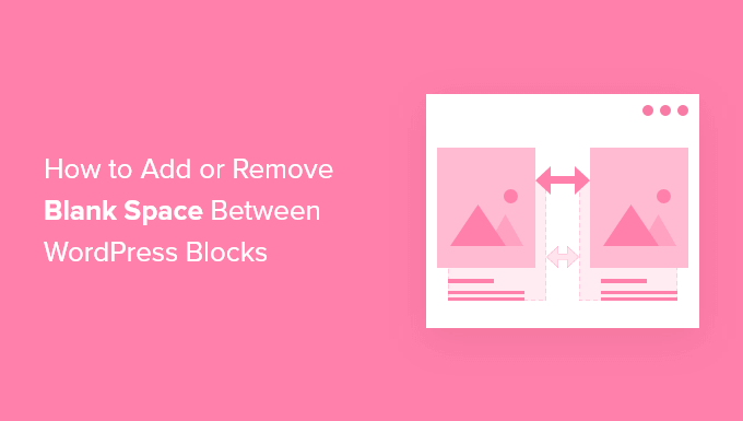 WordPress Blocks