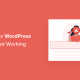 WordPress Search