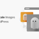 greyscale images in wordpress